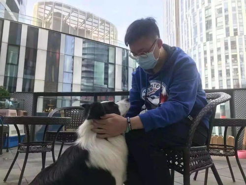 一生負氣成今日，一騎白馬開吳疆——會計學院排球隊挺進決賽