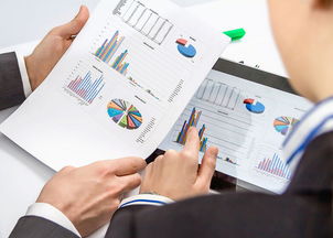 初級會計(jì)職稱考試及審計(jì)、稅務(wù)服務(wù)報(bào)考答疑